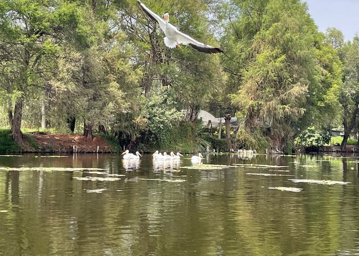 Xochimilco