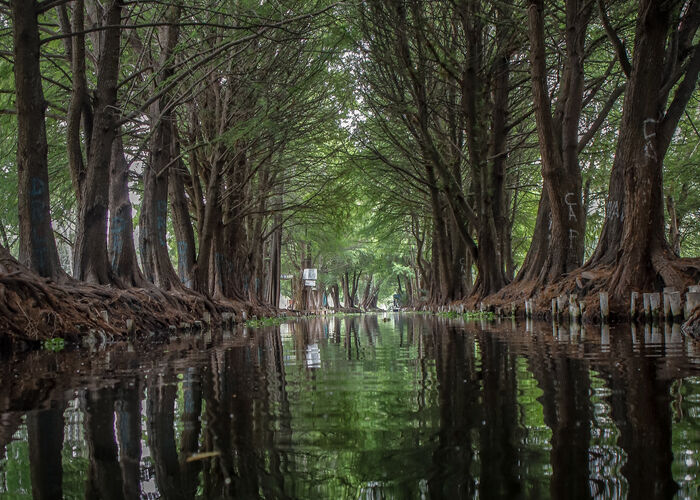 Xochimilco