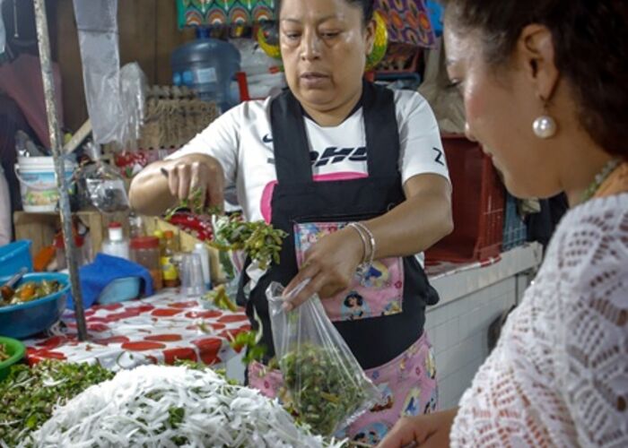 ¡Guacamole! A Tasty Adventure